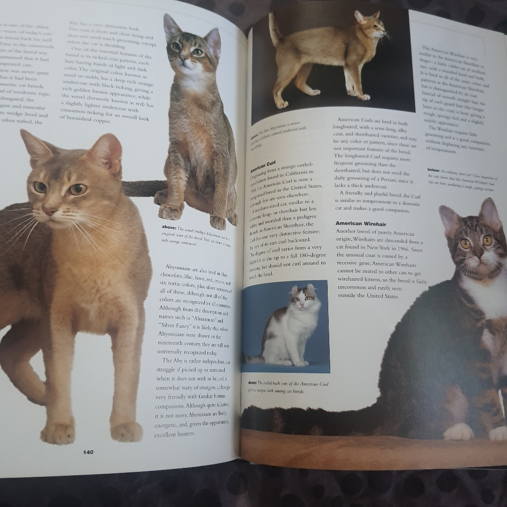 Complete Guide To Cats Coffee Table Book - Picture 6 of 7